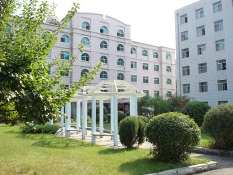 Колледж Lambton – Lambton College