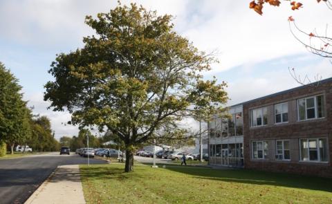 Колледж New Brunswick Community College – New Brunswick Community College