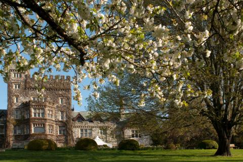 Университет Ройал-Роудс – Royal Roads University