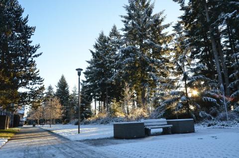 Колледж North Island – North Island College