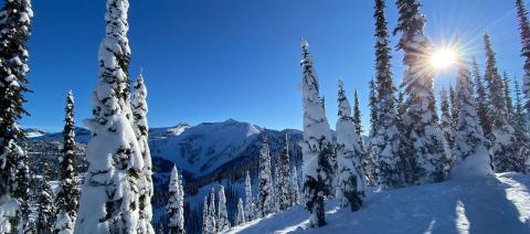 Колледж Selkirk – Selkirk College