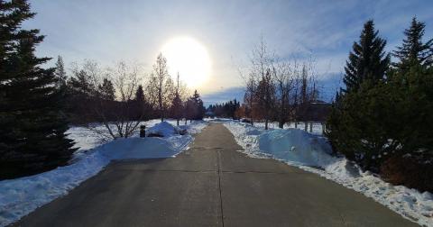 Колледж Olds – Olds College