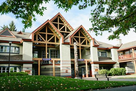 Колледж North Island – North Island College