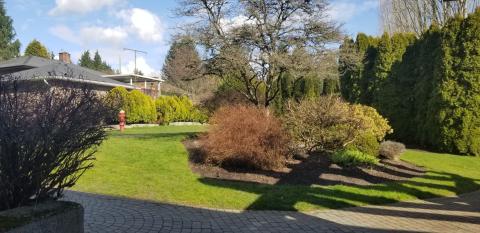 Колледж Coquitlam – Coquitlam College