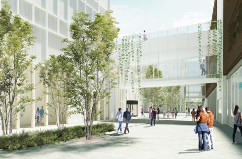 Университет прикладных наук Томаса Мора – Thomas More University of Applied Sciences