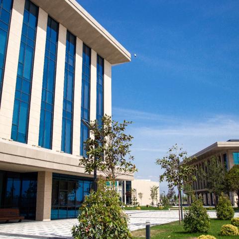 Международная бизнес-школа CBS - CBS International Business School