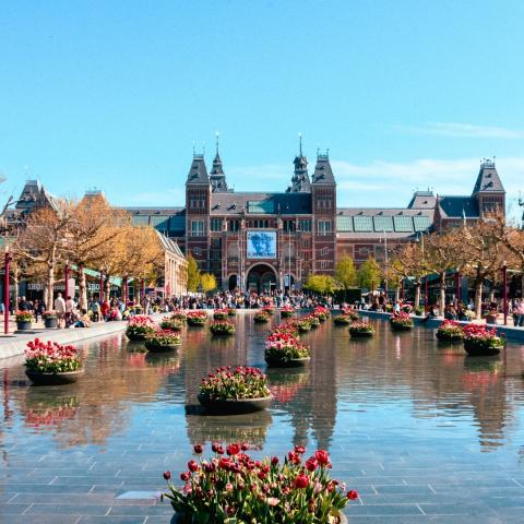 IC Университет прикладных наук - Амстердам – IC University of Applied Sciences - Amsterdam