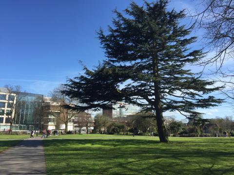 Университет Солент – Solent University - 3