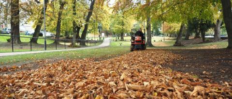 Шеффилдский университет Халлама – Sheffield Hallam University - 3