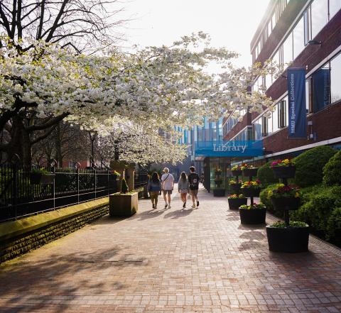 Манчестерский столичный университет – Manchester Metropolitan University - 5