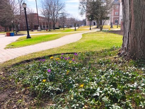 Колледж Эльмиры – Elmira College