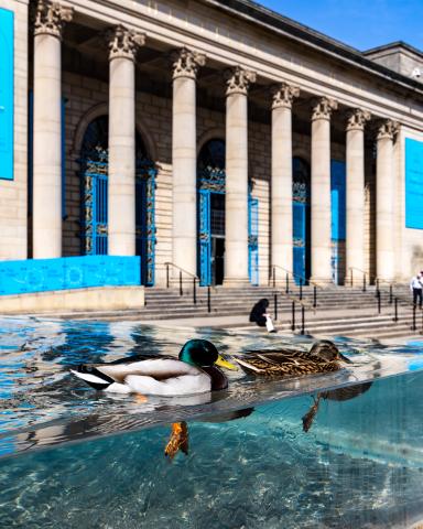 Университет Шеффилда – University of Sheffield - 2