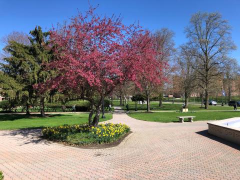 Колледж Эльмиры – Elmira College