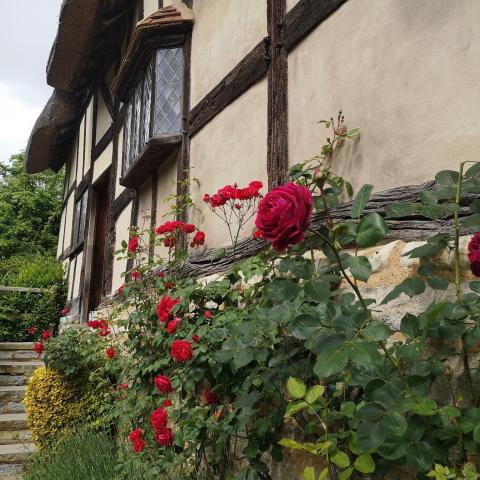 Независимая школа Босворта – Bosworth Independent School - 3