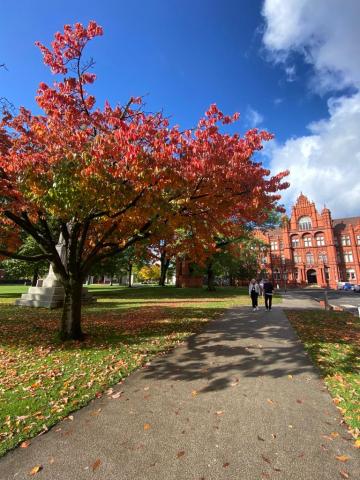 Солфордский университет – University of Salford - 4