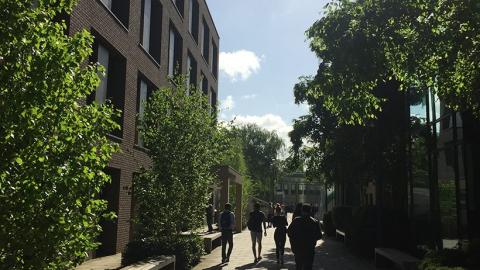 Кингстонский университет – Kingston University - 5