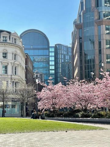 Дэвид Гейм Колледж Ливерпуль – David Game College Liverpool - 2