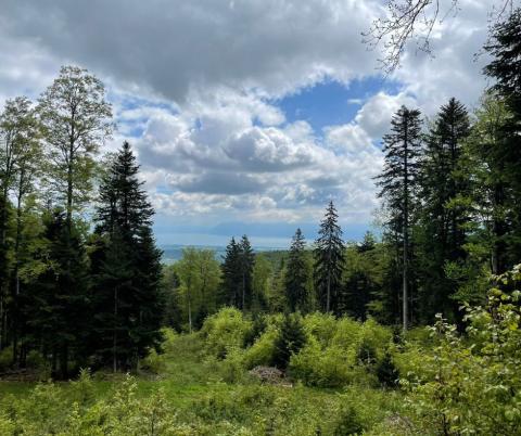 Международная школа La Côte в Обоне - La Côte International School Aubonne