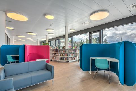 Альпийский колледж Бо Солей – Collège Alpin Beau Soleil