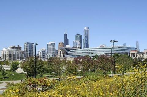 Британская международная школа Чикаго, Линкольн-Парк – British International School of Chicago, Lincoln Park - 4