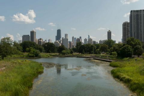 Британская международная школа Чикаго, Линкольн-Парк – British International School of Chicago, Lincoln Park - 5