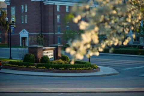 Технический университет Теннесси – Tennessee Tech University - 2