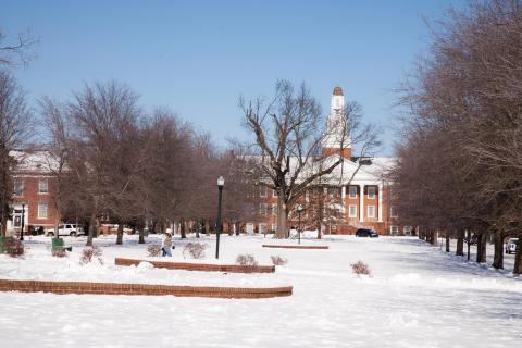 Технический университет Теннесси – Tennessee Tech University - 3