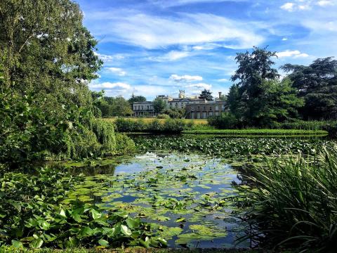 Университет Рохэмптона - University of Roehampton - 4