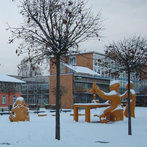Констанцский университет прикладных наук - Hochschule Konstanz - 1