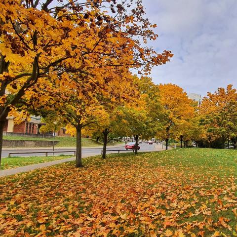 Берлинский международный колледж - Berlin International College - 6