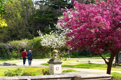 Университет Рохэмптона - University of Roehampton - 6