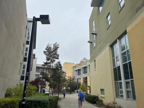 Государственный университет Сан-Франциско - San Francisco State University - 3