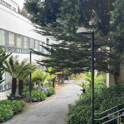 Государственный университет Сан-Франциско - San Francisco State University - 4