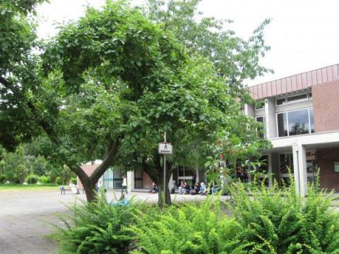 Меттингенский подготовительный колледж - Studienkolleg Comenius Colleg Mettingen - 2