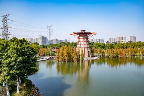 Международная школа NAS Foshan - NAS Foshan - 3