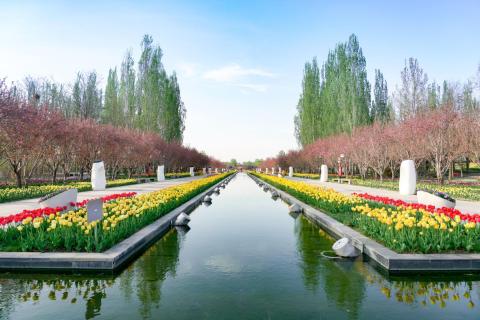 Британская школа Пекина - Шуньи - The British School of Beijing - Shunyi - 2