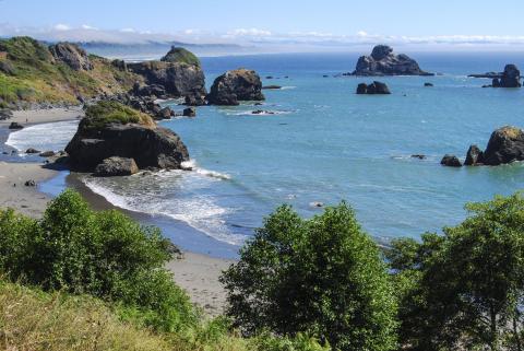 Калифорнийский государственный политехнический университет Гумбольдта – California State Polytechnic University, Humboldt - 3