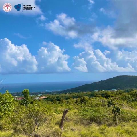 Медицинский университет Америки - Medical University of the Americas - 5