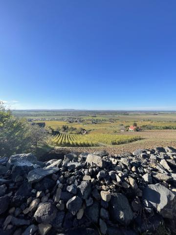 Университет Прикладных Наук Бургенланд - Fachhochschule Burgenland - 6