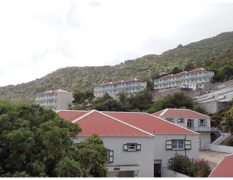 Медицинский факультет Университета Сабы - Saba University School of Medicine - 2