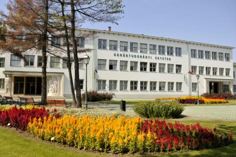 Дебреценский университет - Debreceni Egyetem - 2