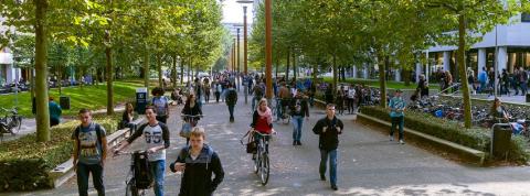 Тилбургский университет - Tilburg University - 3