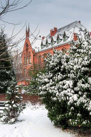 Вроцлавский медицинский университет - Wrocław Medical University - 3