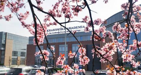 Краковский университет Моджевского - Andrzej Frycz Modrzewski Krakow University - 2