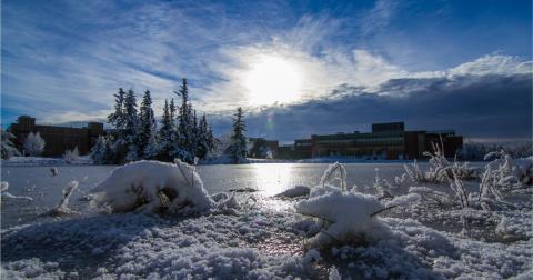 Университет Ниписсинга - Nipissing University - 2