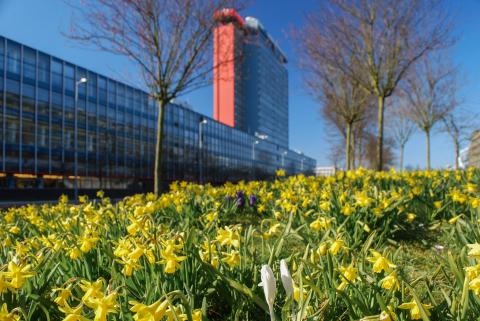 Делфтский технологический университет - Delft University of Technology - 2