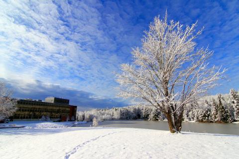 Университет Ниписсинга - Nipissing University - 5