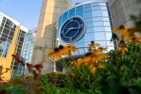 Университет Макьюэна - MacEwan University - 7