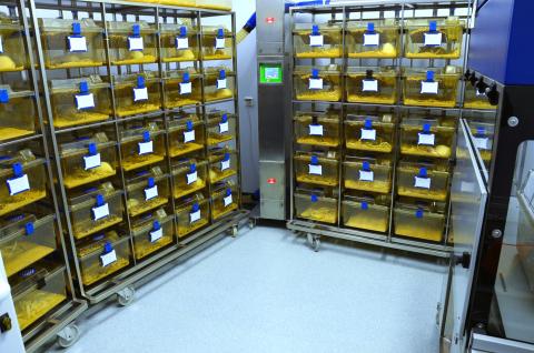 Медицинский университет Белостока - Medical University of Białystok - 4