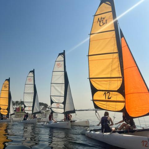 Швейцарская международная научная школа в Дубае - Swiss International Scientific School Dubai-6